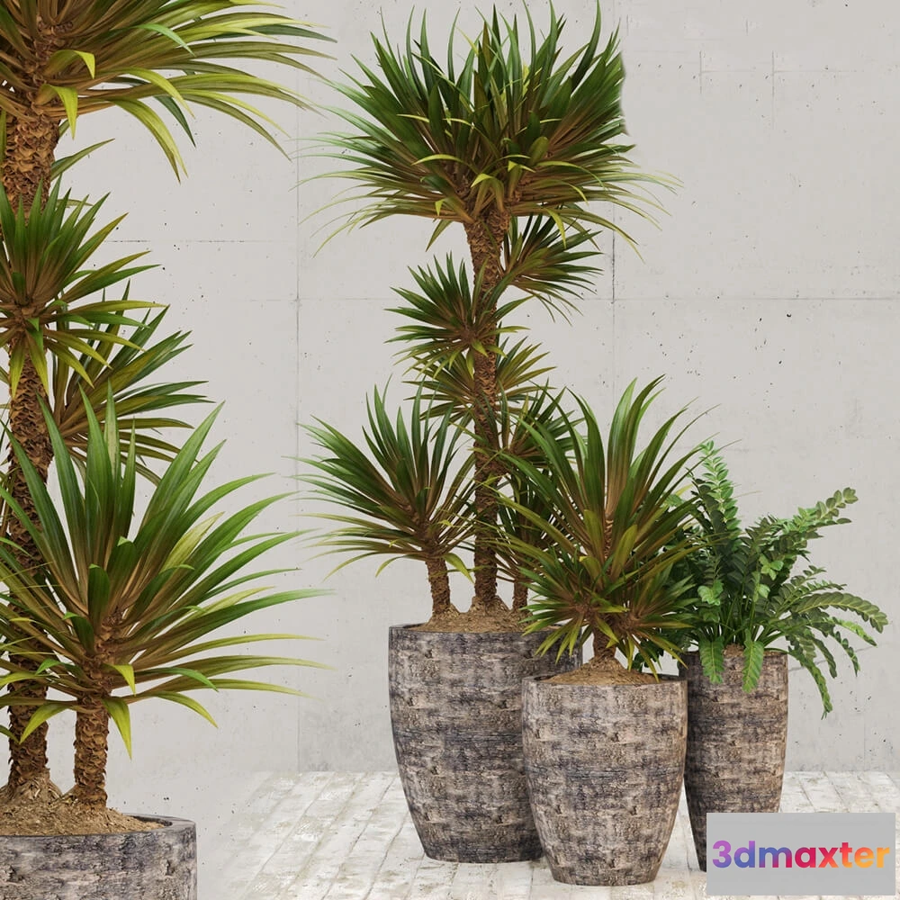 1605730 - decoration - Restoration Hardware corso planter 3D Max