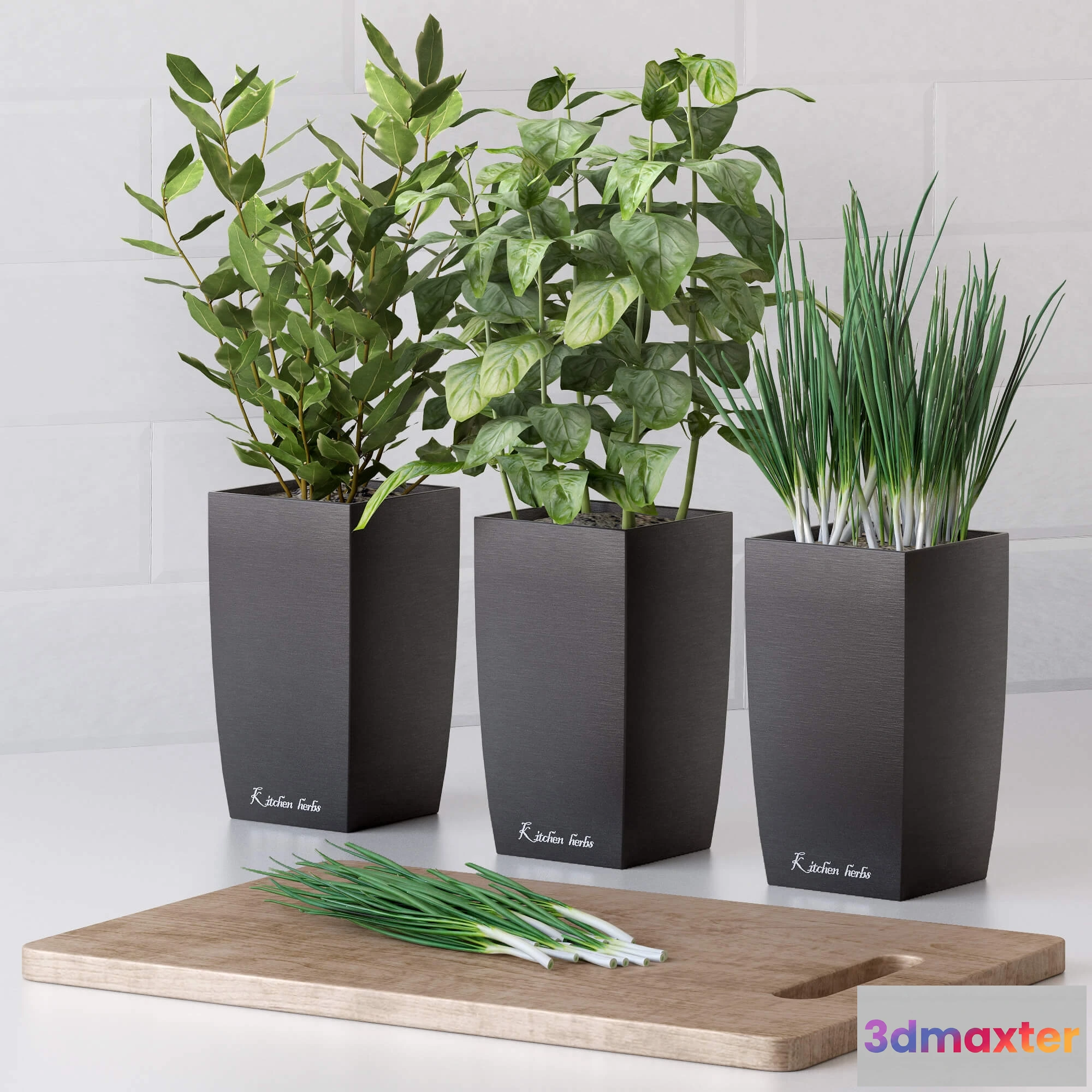 1605732 - decoration - Plants for the kitchen 2 3D Max