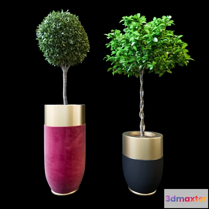 1605738 - decoration - Realistic plants 3D Max