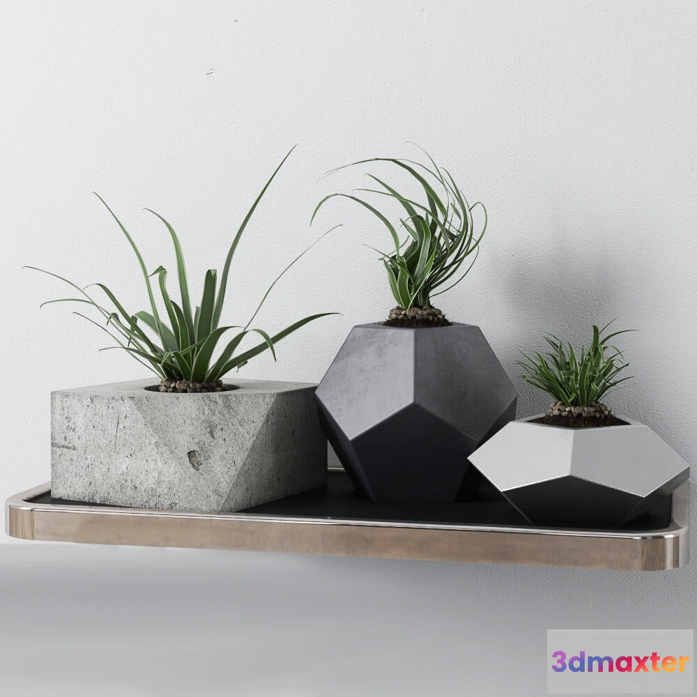 1605740 - decoration - Redhome plants 3D Max