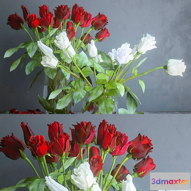 1605746 - decoration - Red and white roses 3D Max