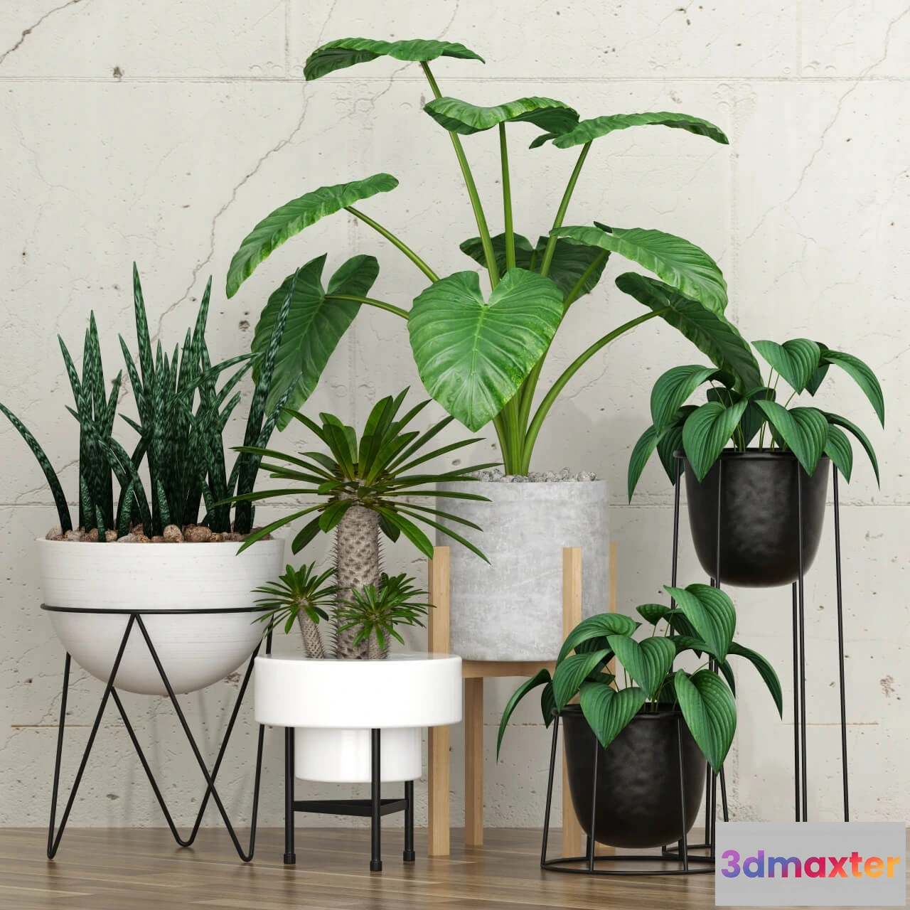 1605750 - decoration - Potted plants 092 3D Max