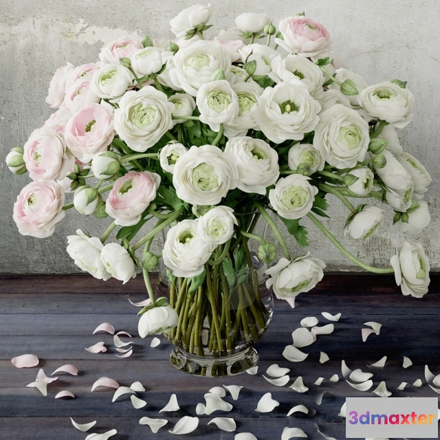 1605758 - decoration - Ranunculus 2 3D Max