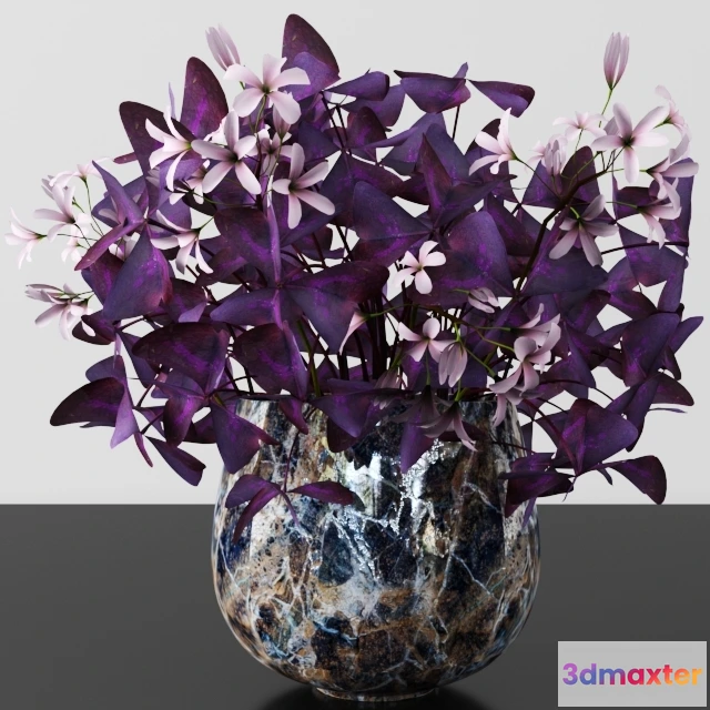 1605766 - decoration - Plants tree 53 3D Max