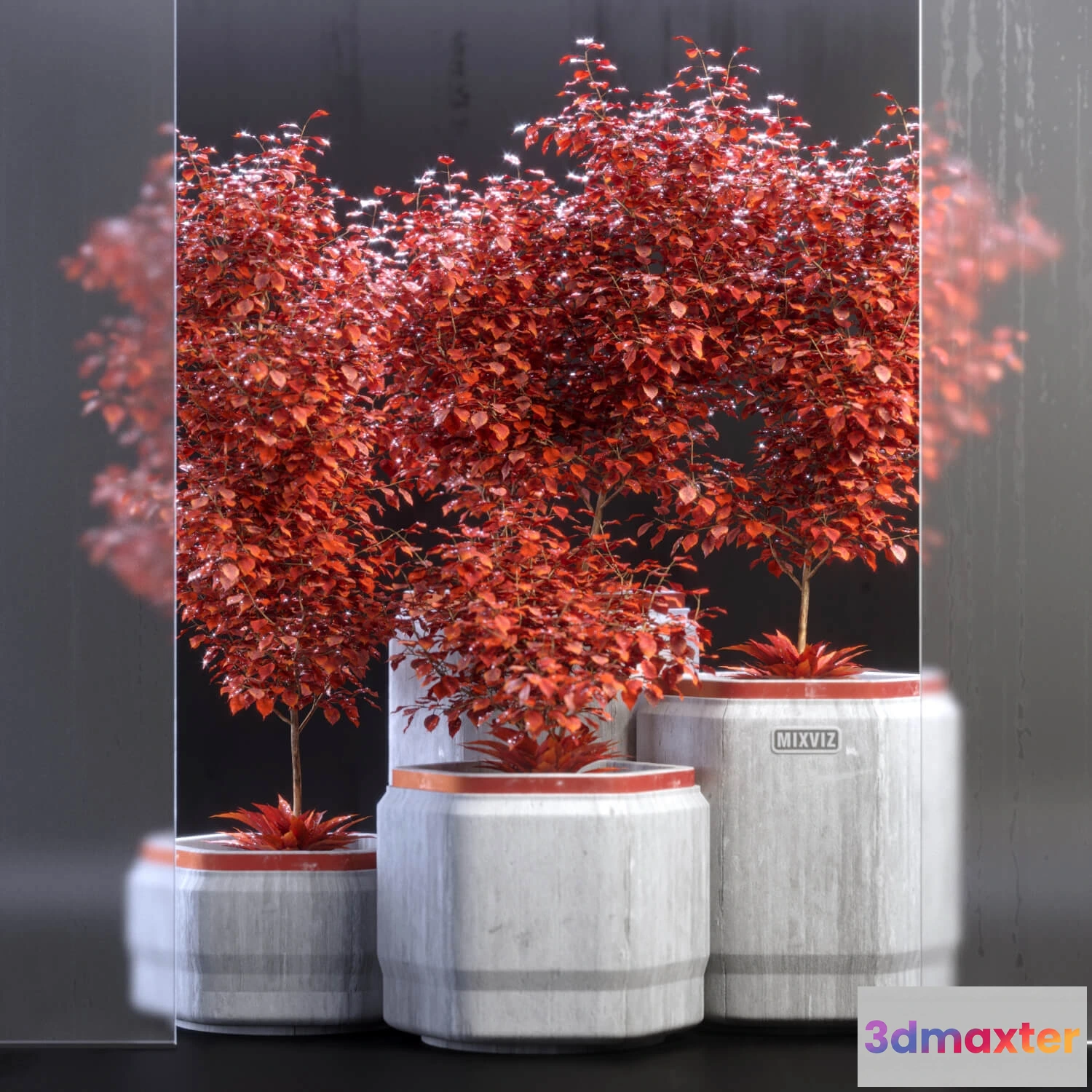 1605768 - decoration - Plants 012 3D Max