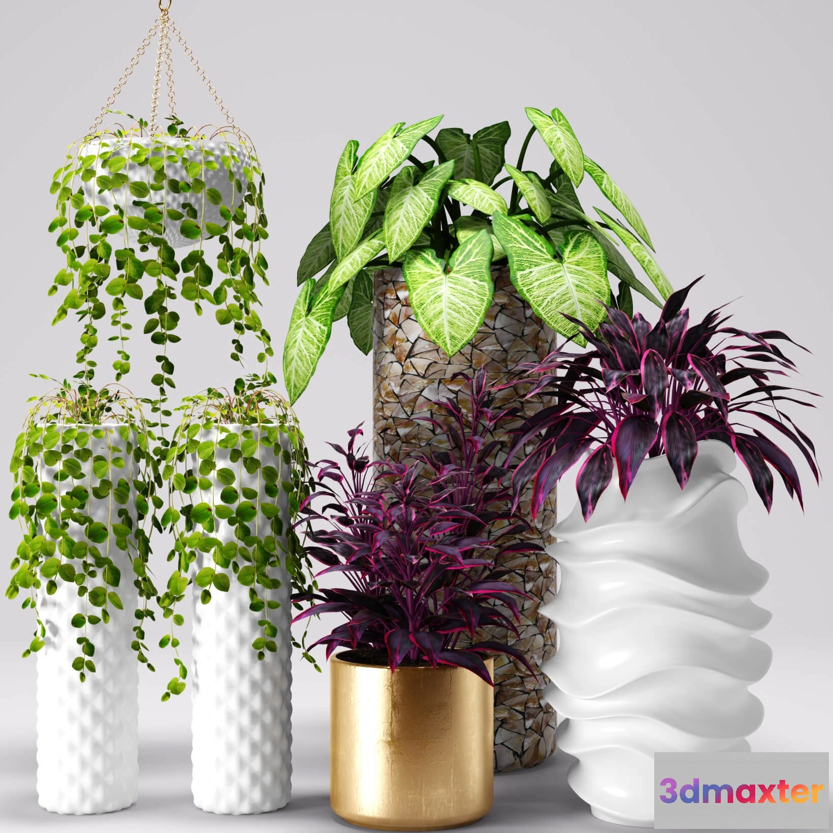 1605770 - decoration - Plants in pots 3D Max