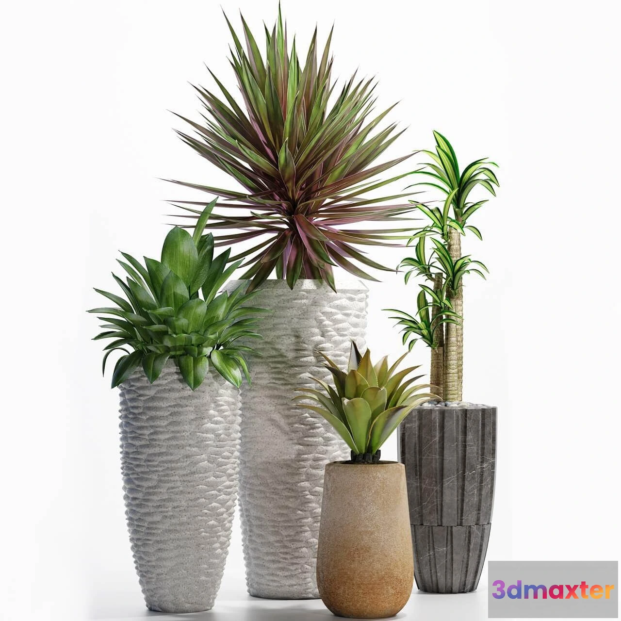 1605776 - decoration - Plants 206 3D Max