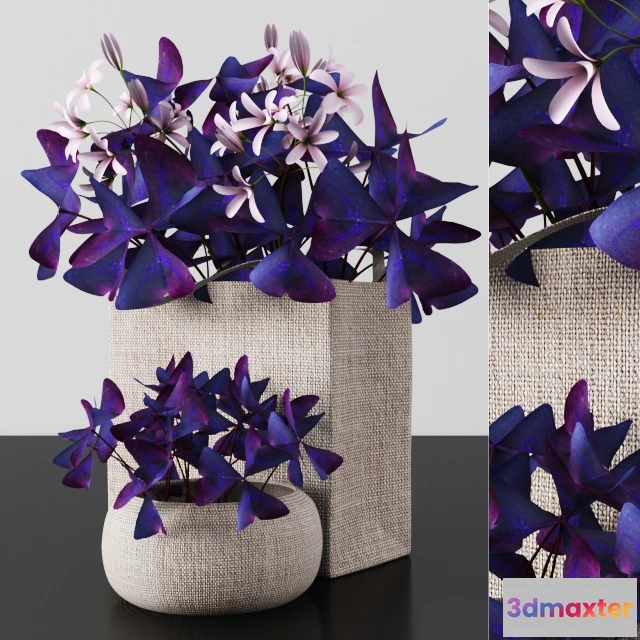 1605778 - decoration - Plants tree 54 3D Max