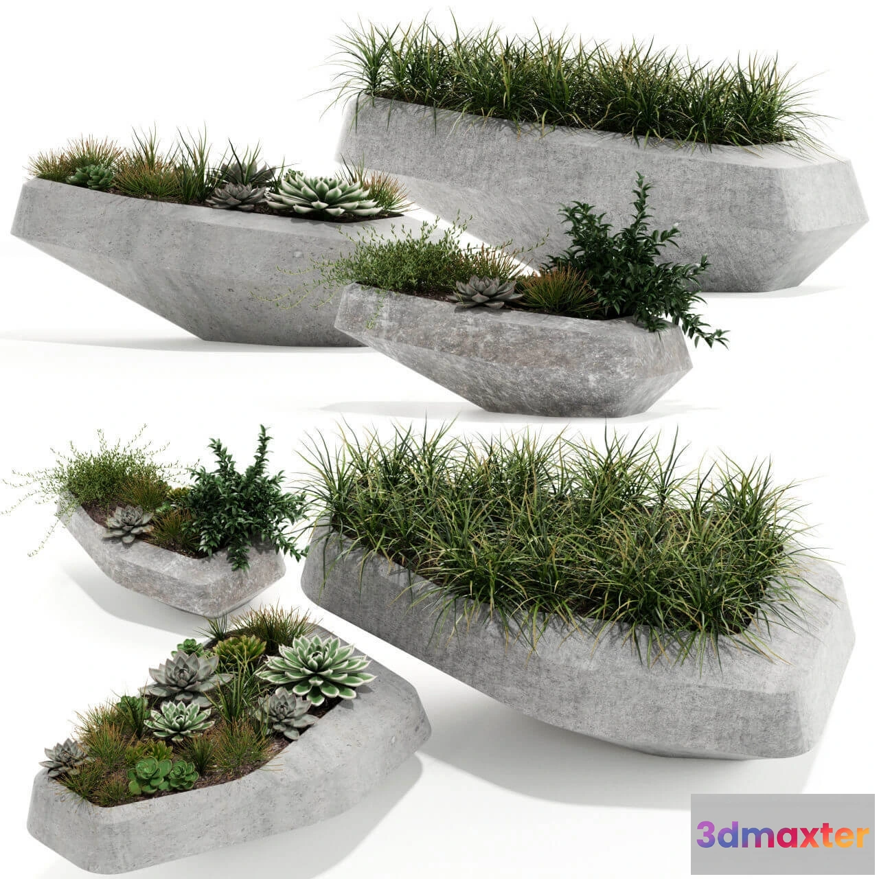 1605790 - decoration - Plants collection 132 3D Max