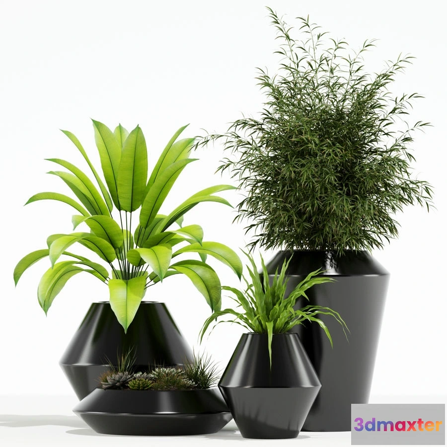 1605794 - decoration - Plants collection 133 3D Max