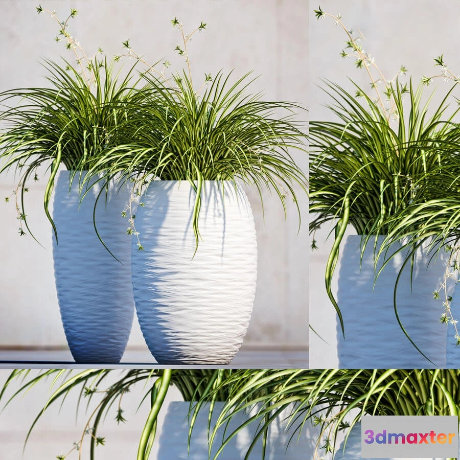 1605796 - decoration - Plants 100 3D Max