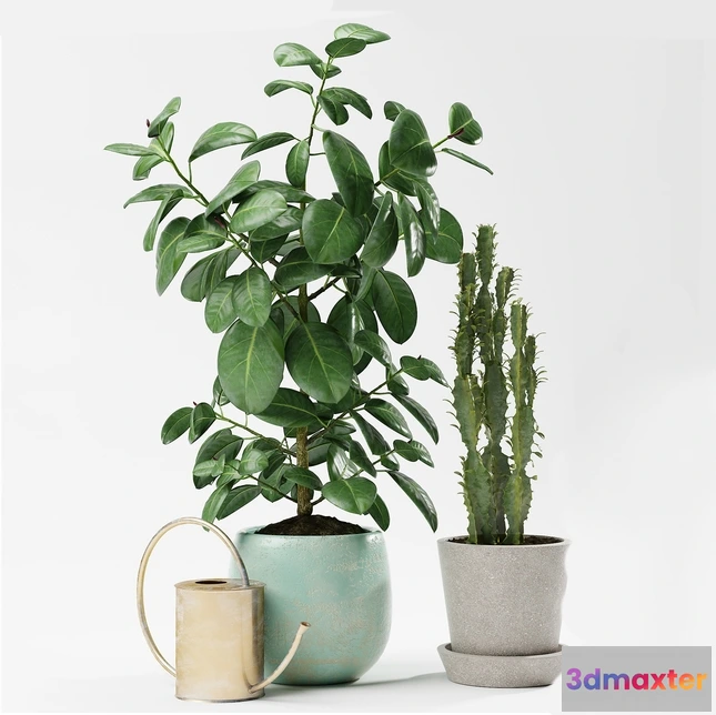 1605800 - decoration - Plants 176 3D Max