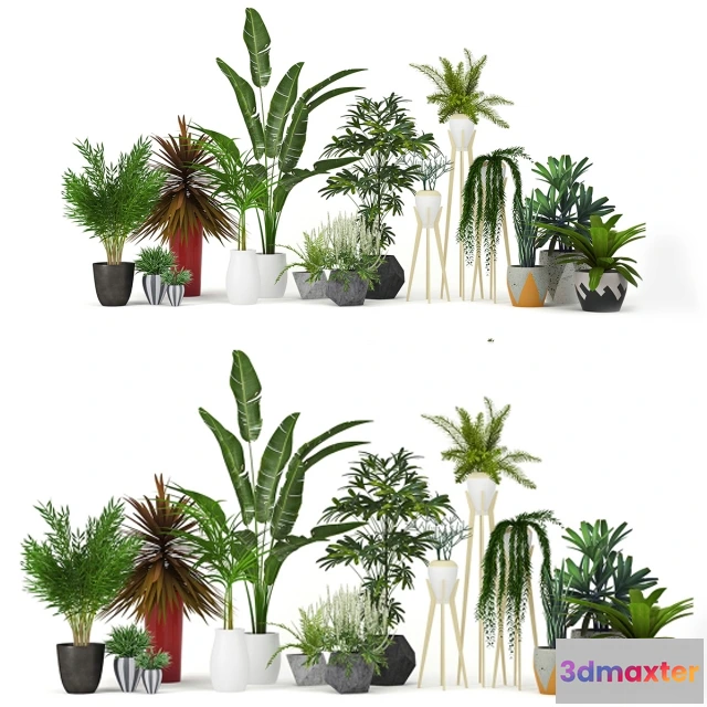 1605802 - decoration - Plants collection 3D Max