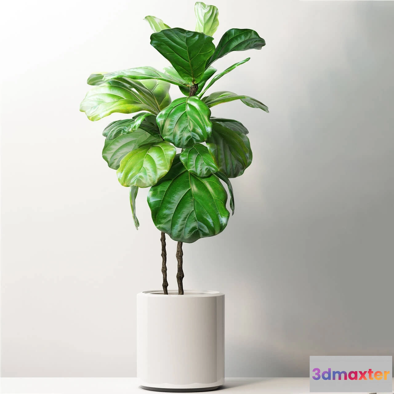 1605806 - decoration - Plants 181 3D Max