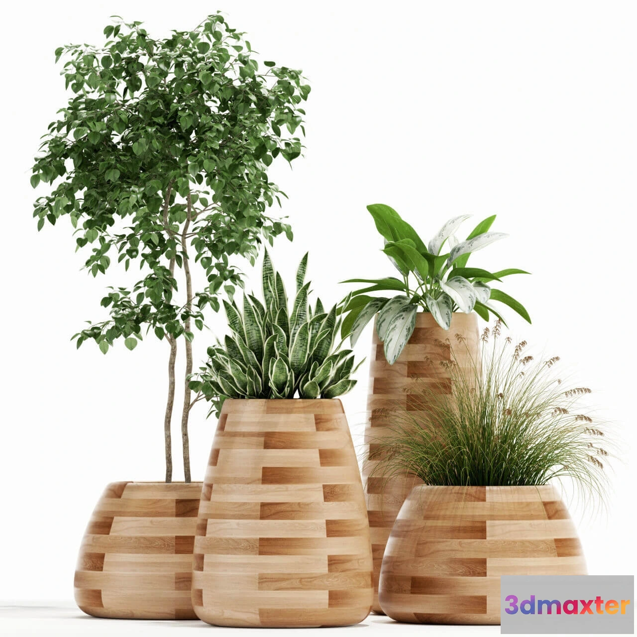 1605810 - decoration - Plants collection 129 3D Max