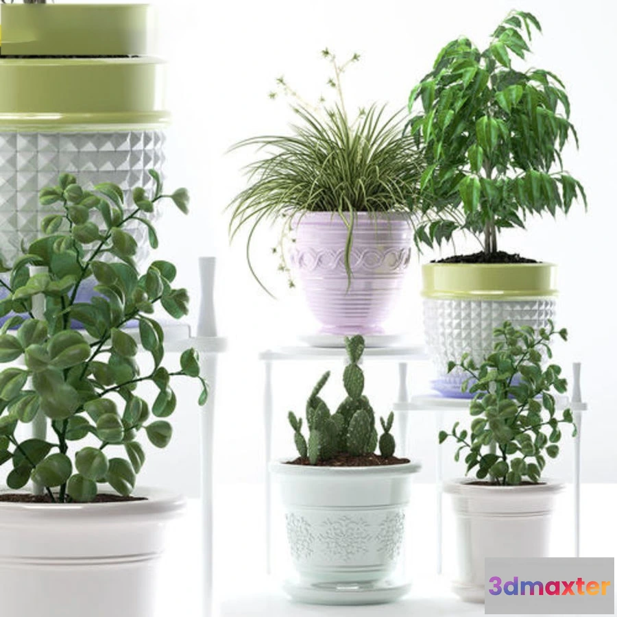 1605812 - decoration - Plants 183 3D Max