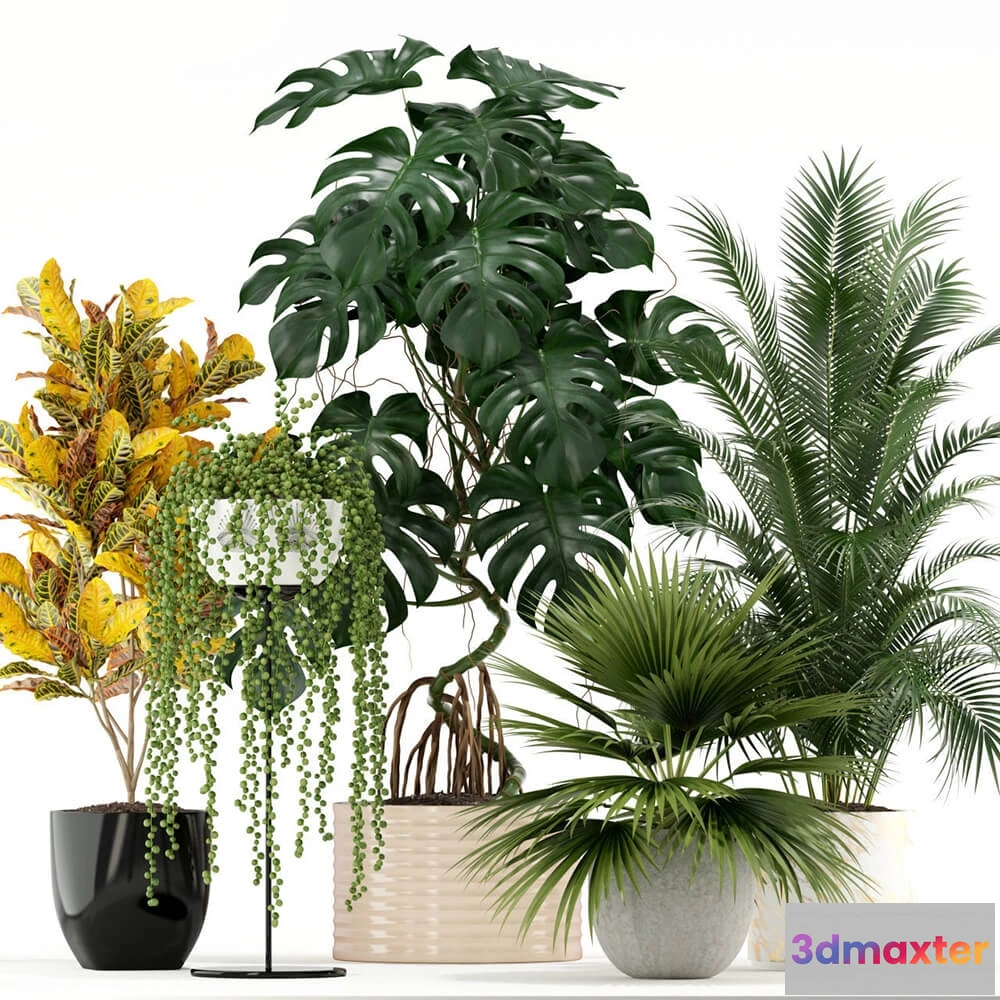 1605814 - decoration - Plants collection 124 3D Max