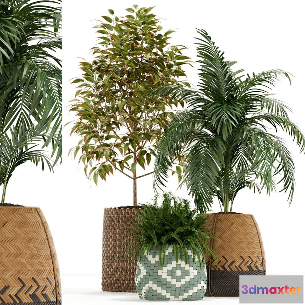 1605818 - decoration - Plants collection 126 3D Max