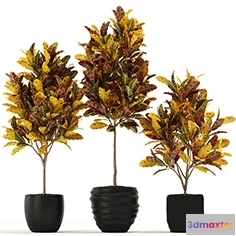 1605824 - decoration - Plants collection 120 3D Max