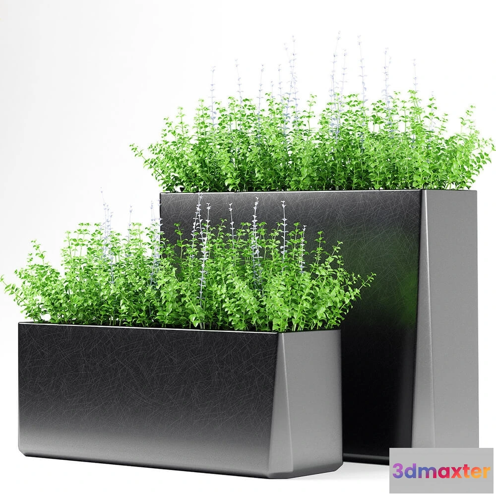 1605832 - decoration - Plants 180 3D Max