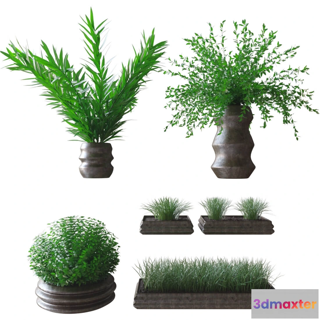 1605836 - decoration - Plants in pots 3D Max