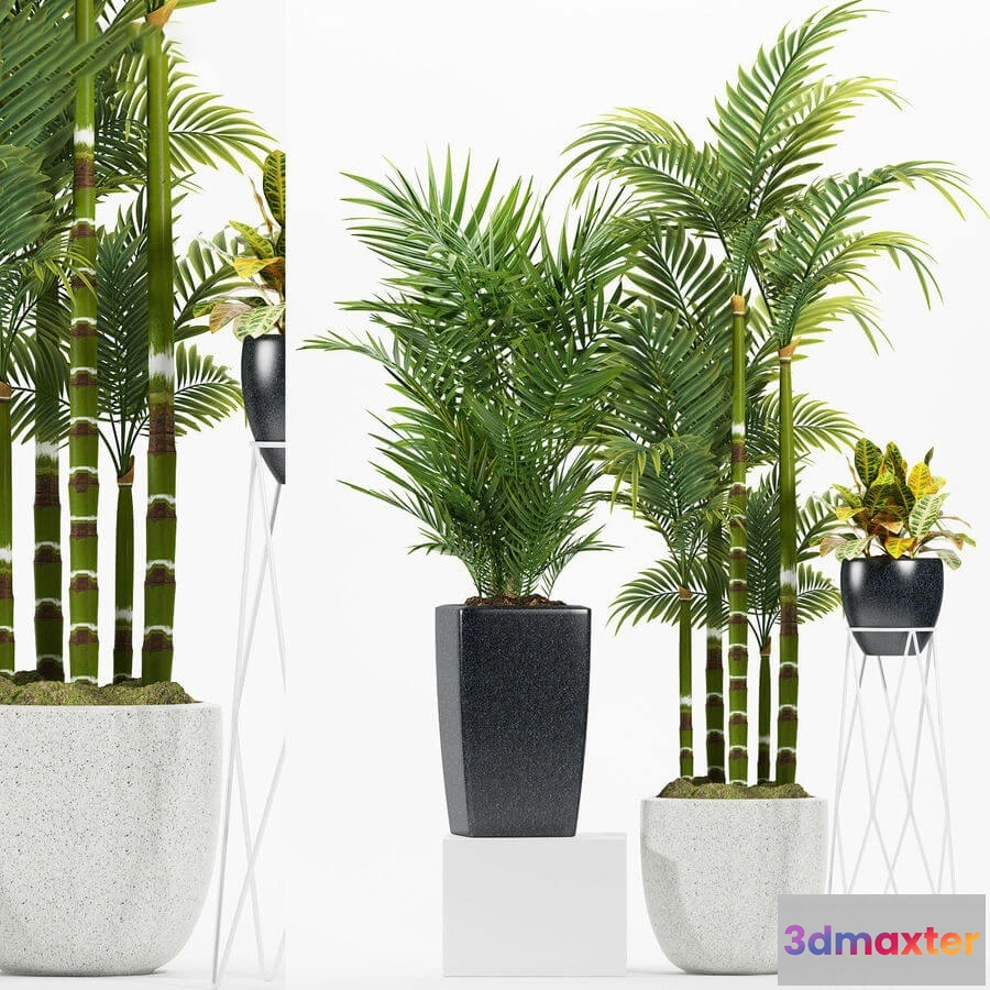 1605842 - decoration - Plants 174 3D Max