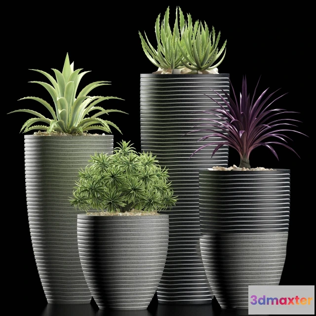 1605844 - decoration - Plants 106 3D Max