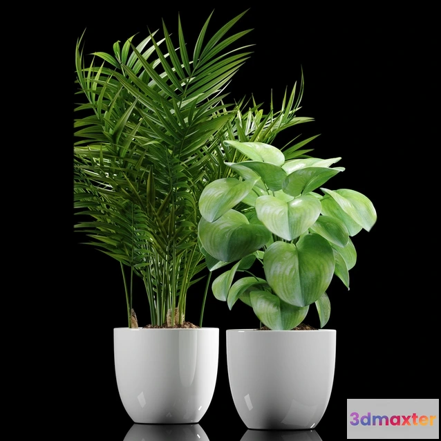 1605856 - decoration - Plants 177 3D Max