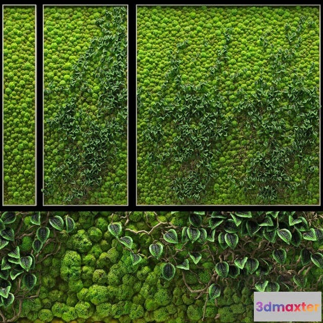 1605864 - decoration - Fito wall 3D Max