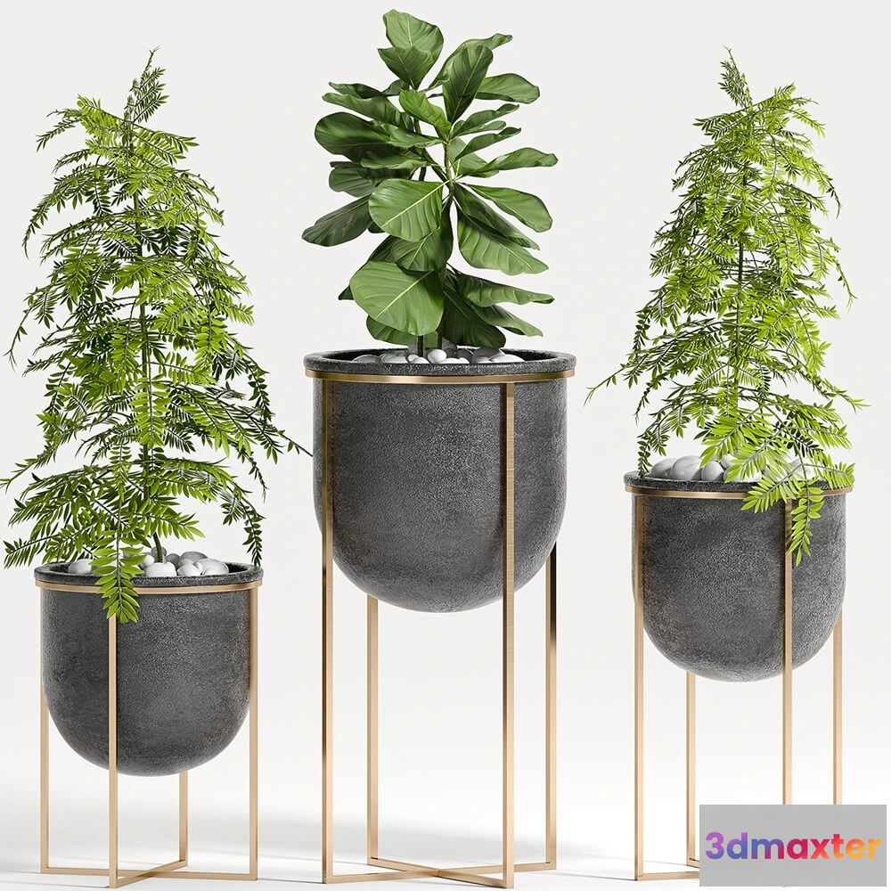 1605866 - decoration - Plant set  80 3D Max