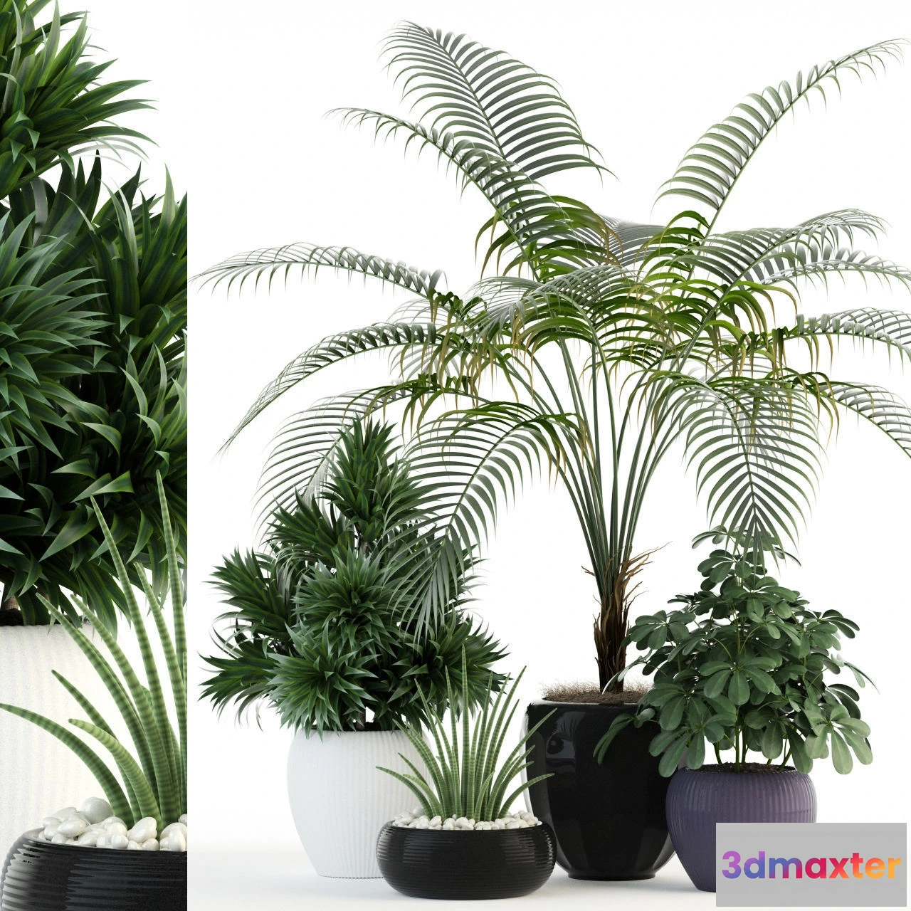 1605880 - decoration - Plants collection 86 3D Max