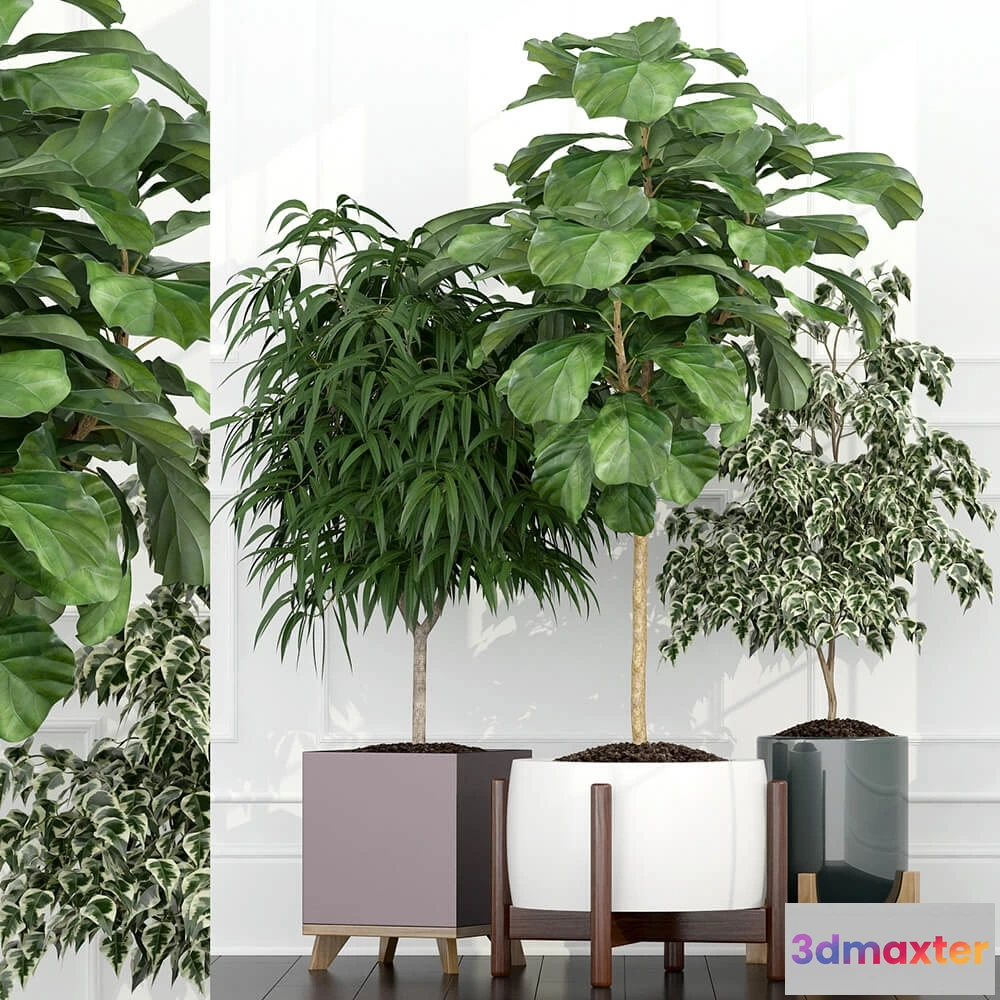 1605882 - decoration - Plants collection 67 3D Max