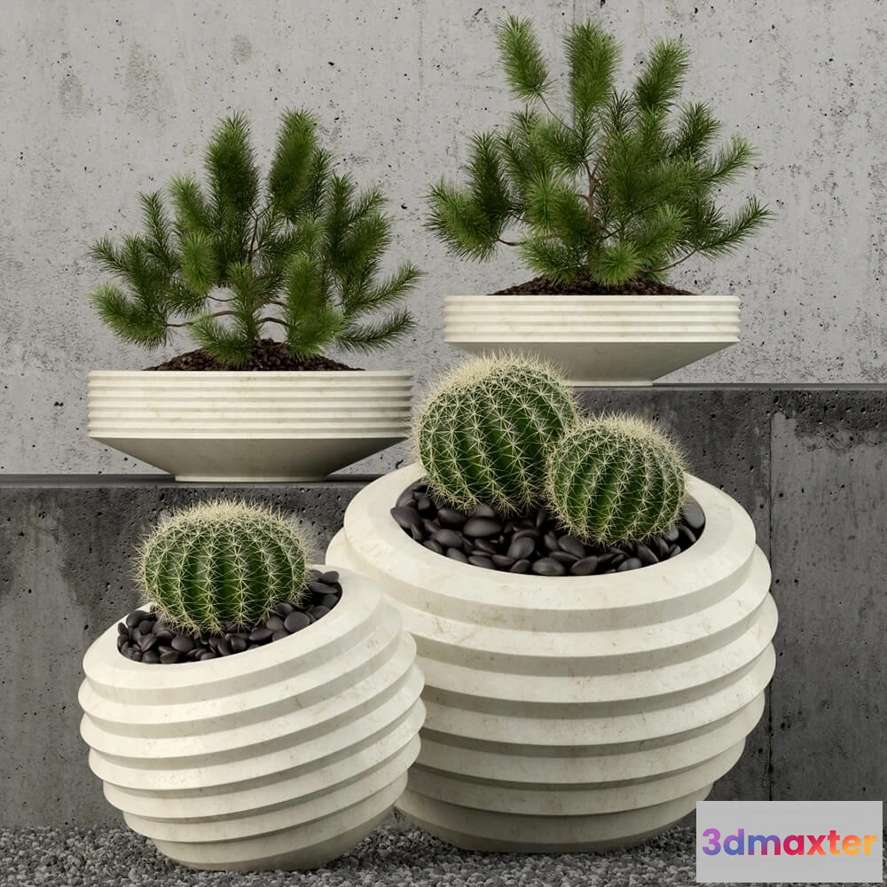 1605886 - decoration - Plants collection 58 3D Max