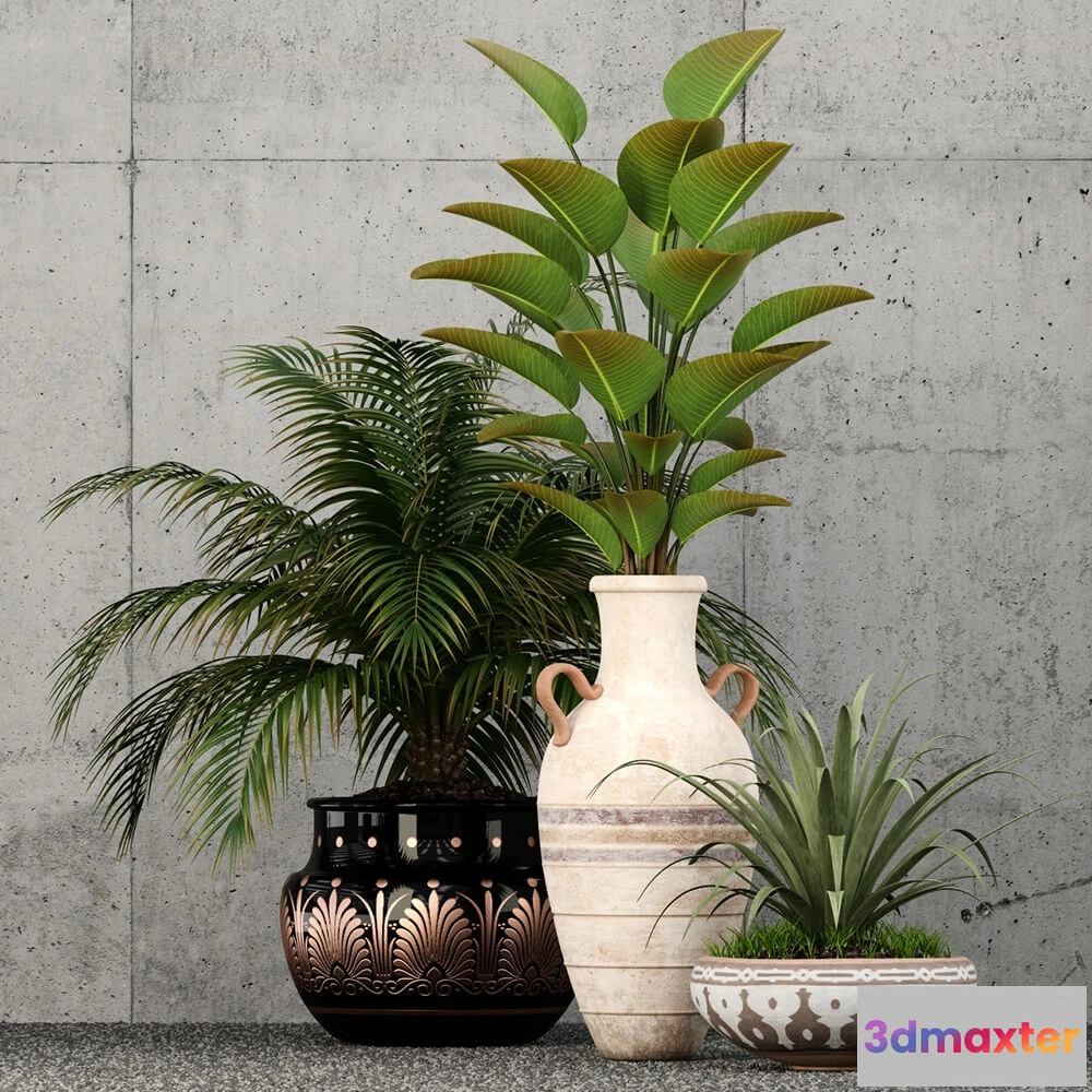 1605890 - decoration - Plants collection 59 3D Max