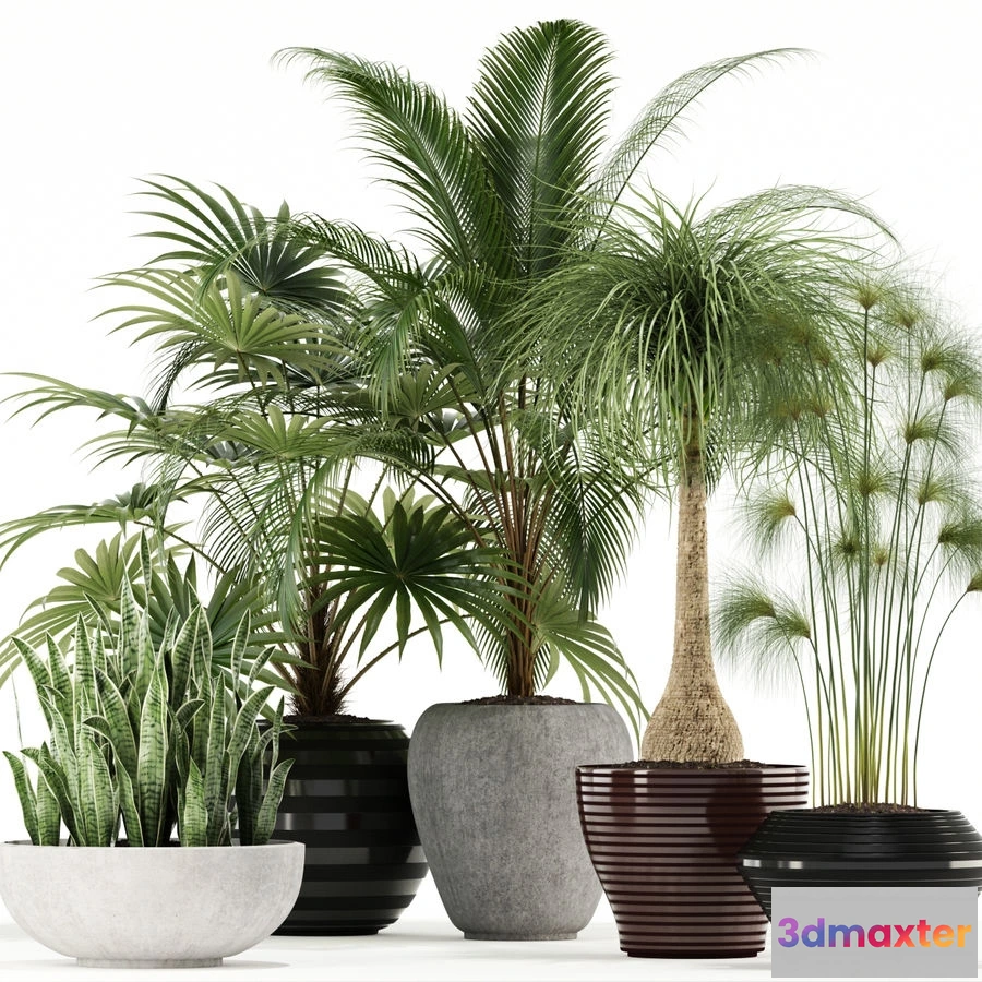 1605892 - decoration - Plants collection 103 3D Max