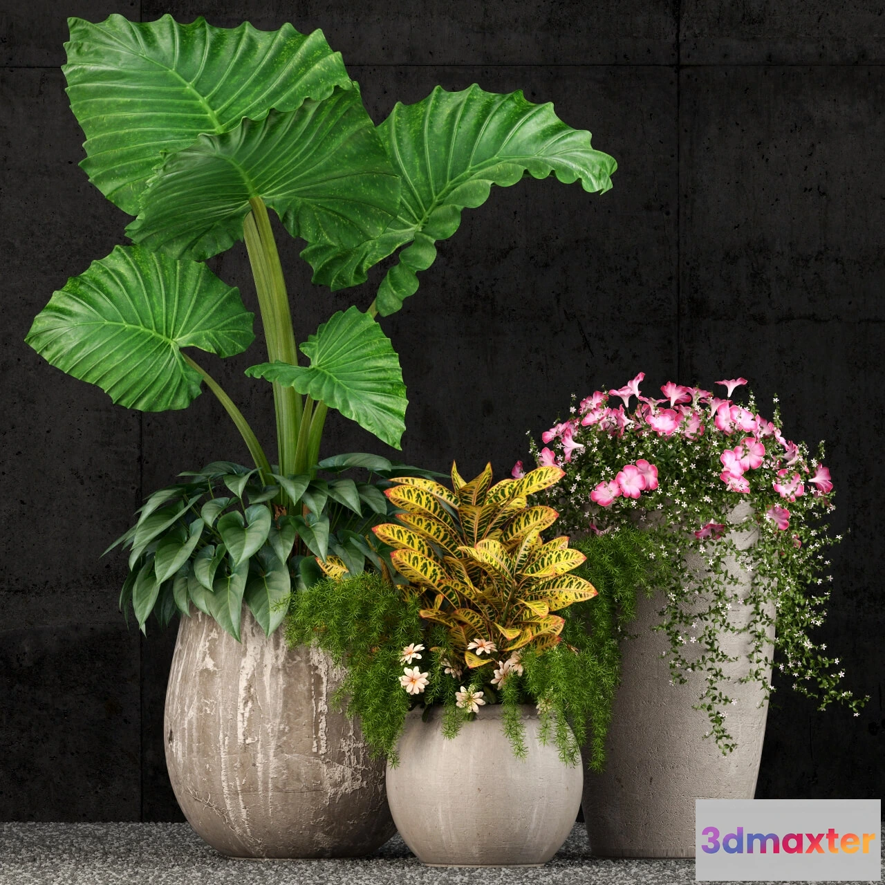 1605896 - decoration - Plants collection 52 3D Max