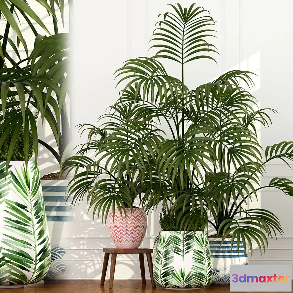 1605900 - decoration - Plants collection 51 3D Max