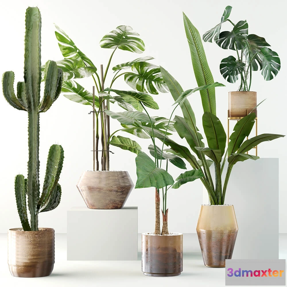 1605904 - decoration - Plants collection 04 3D Max