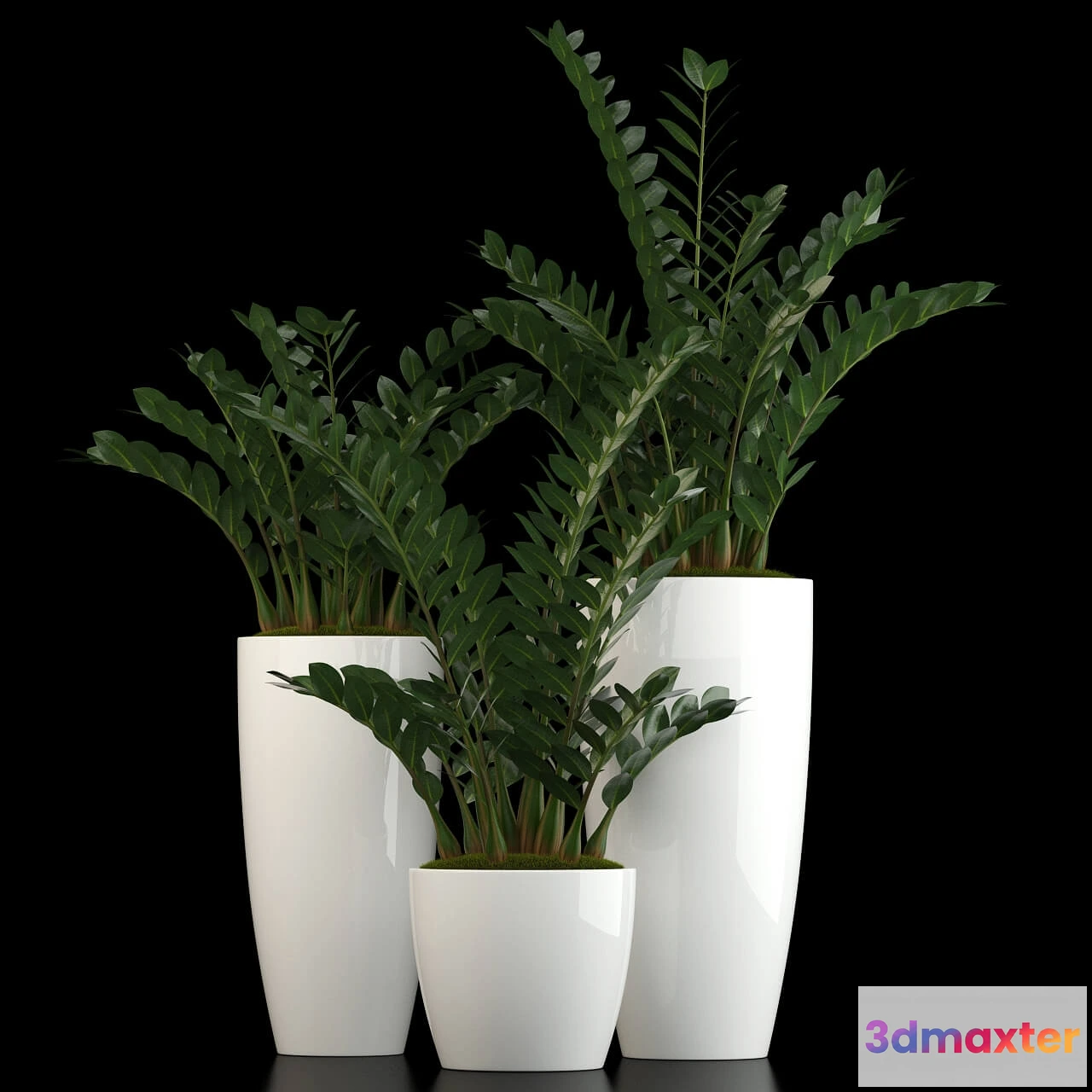 1605932 - decoration - Plants collection 56 3D Max