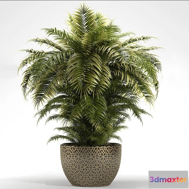 1605948 - decoration - Plants 222 3D Max