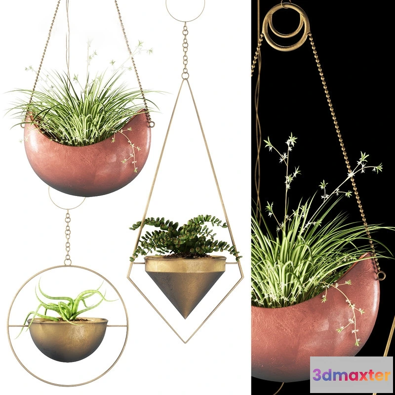 1605950 - decoration - Plants 143 3D Max