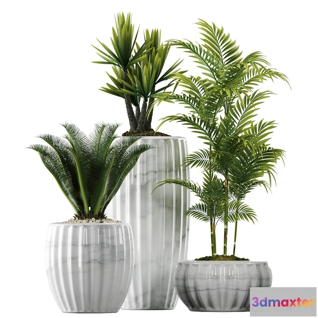 1605958 - decoration - Plants in Pots 140 3D Max