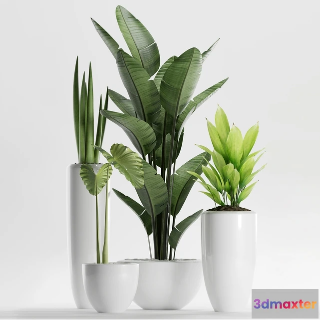 1605964 - decoration - Plants 199 3D Max