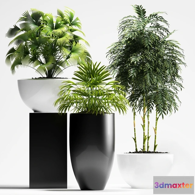 1605966 - decoration - Plants 195 3D Max