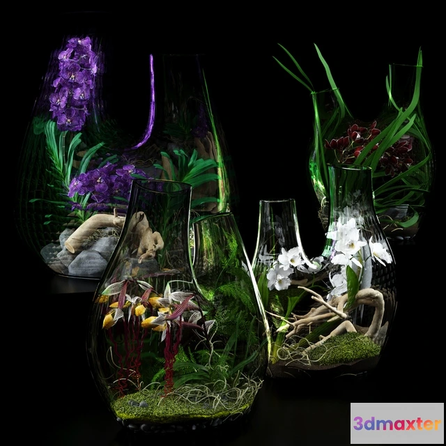 1605972 - decoration - Terrarium vases with Orchids 3D Max