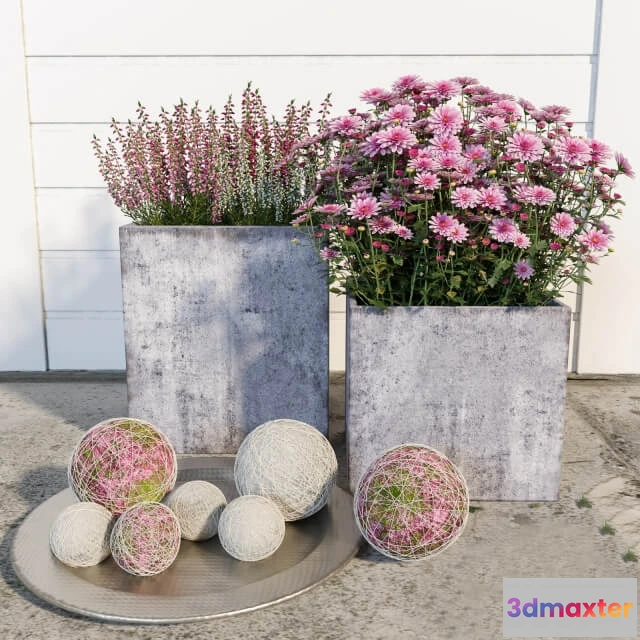 1605980 - decoration - Street flowers 3 3D Max