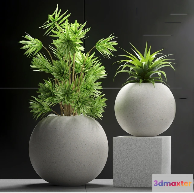 1605988 - decoration - Plants 196 3D Max