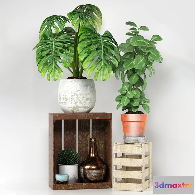 1605990 - decoration - Plants 204 3D Max