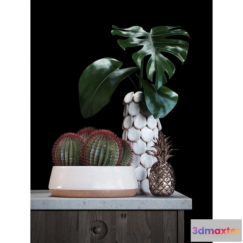 1605996 - decoration - Cacti set 3D Max