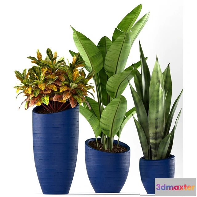 1606000 - decoration - Plants 138 3D Max